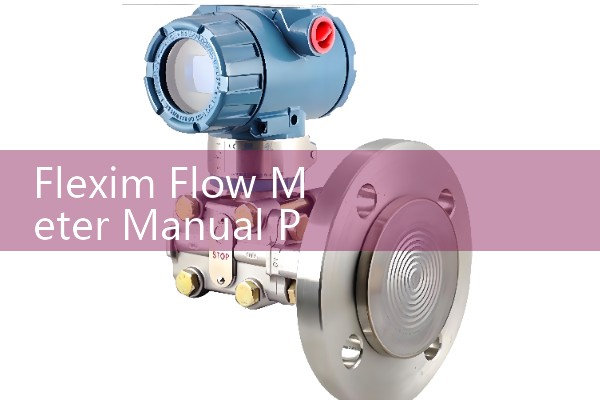 Flexim Flow Meter Manual PDF: Programming and Installing Fluxus Transmitters