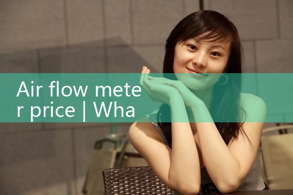 air flow meter price|balo meter