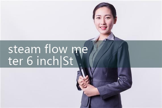 steam flow meter 6 inch|balo meter