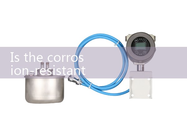 Corrosion resistant mass flowmeter