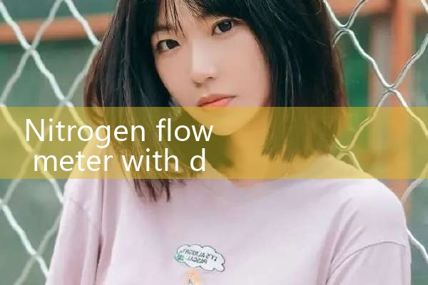 nitrogen flow meter with display|flow meter distributor