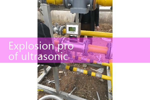 Explosion proof ultrasonic flowmeter