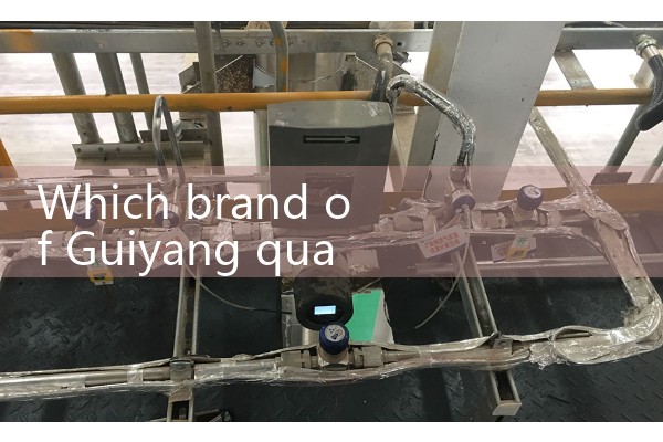 Guiyang Quality Flow Meter Brand