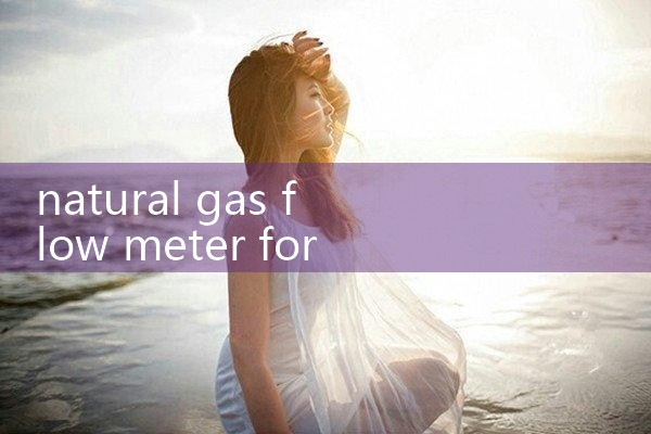 natural gas flow meter for allocation metering|balo meter