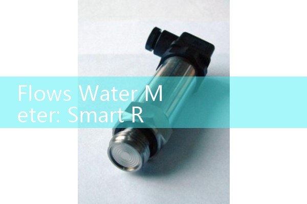 Elster flowmeter