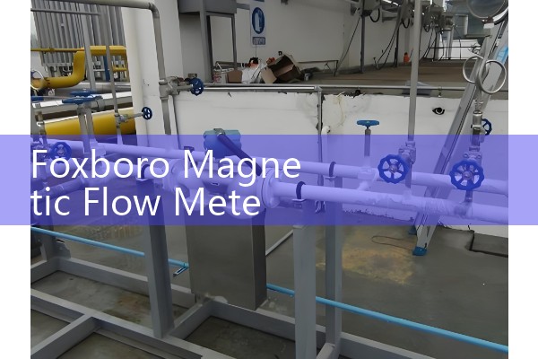 Foxboro Magnetic Flow Meter Sizing: Selecting Lining Chemistry for Corrosive Industrial Liquids
