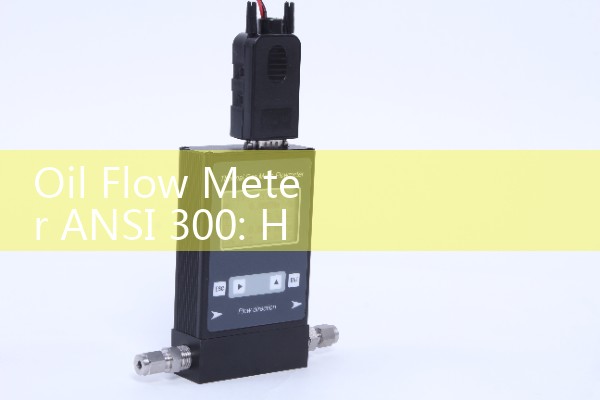 Oil Flow Meter ANSI 300: High-Strength Bolting and Gasket Alignment Rules