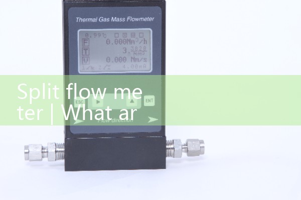 Split flow meter