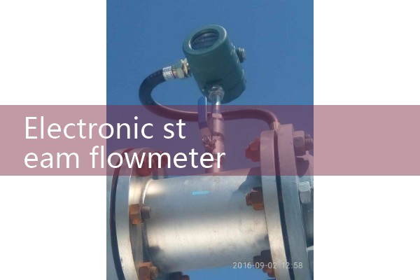 Electronic steam flowmeter