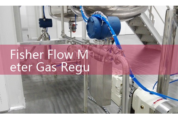 Fisher Flow Meter Gas Regulators: Integrated Flow Measurement for Natural Gas Distribution