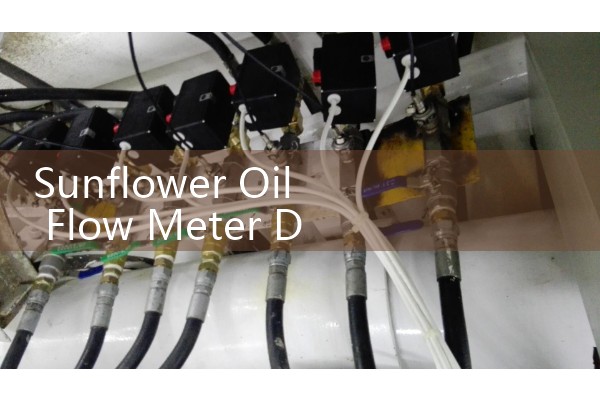 Sunflower Oil Flow Meter DN50: Optimizing Tri-Clamp Sanitary Pipeline Configurations