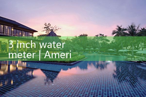 3 inch water meter|rotameter flow meter