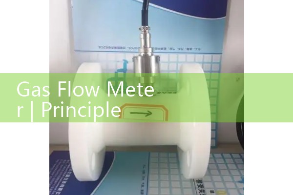 Gas flowmeter