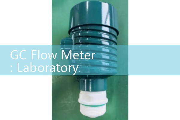 GC Flow Meter: Laboratory Gas Chromatography Capillary Calibration Tools