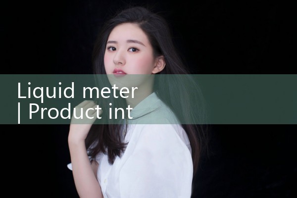 liquid meter|rotameter flow meter