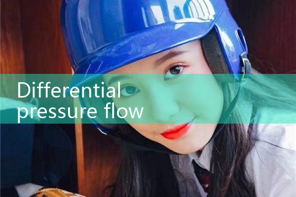 differential pressure flow meter|thermal flow meter
