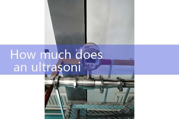 How much does an ultrasonic flowmeter cost