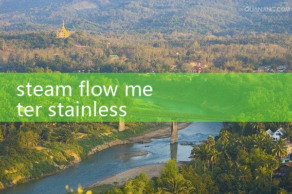 steam flow meter stainless steel|balo meter