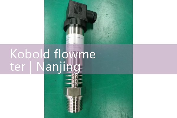 Kobold flowmeter