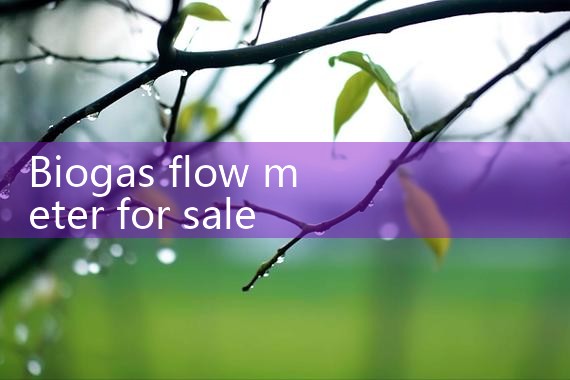 biogas flow meter for sale|thermal flow meter