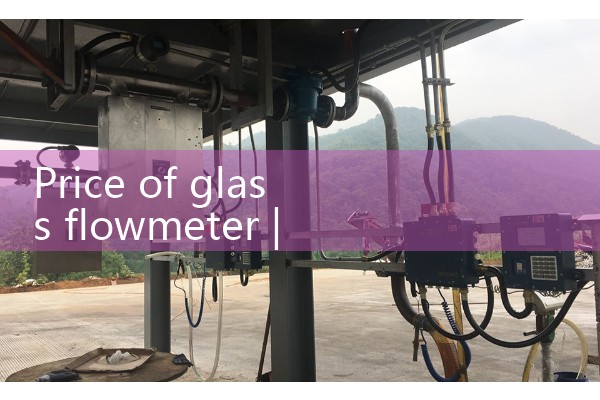 Glass flowmeter price