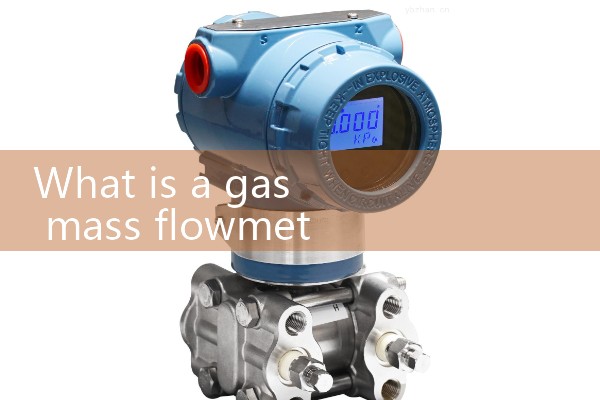 Hydrogen mass flow meter