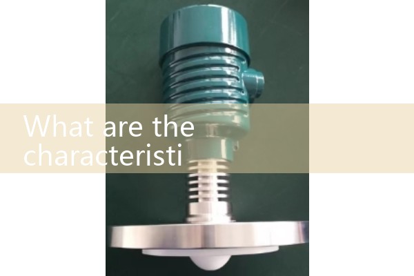 Characteristics of rotor flowmeter
