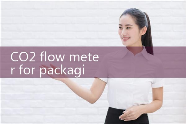 CO2 flow meter for packaging|thermal flow meter