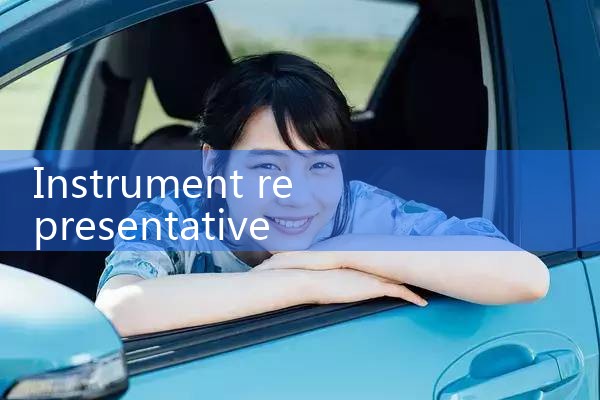 instrumentation representative|thermal flow meter