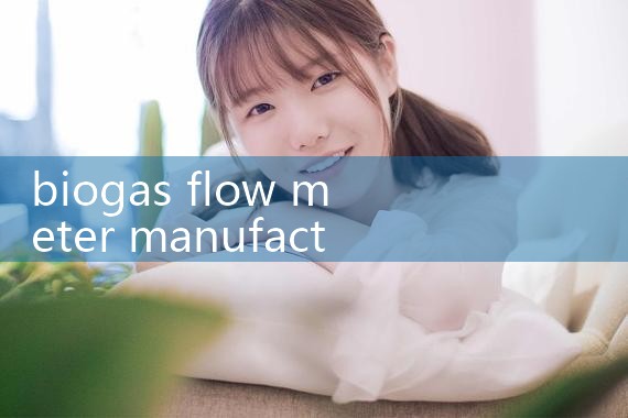 biogas flow meter manufacturer|flow meter distributor
