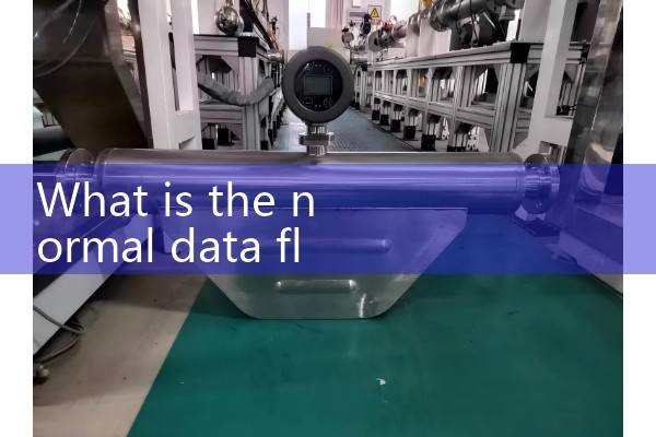 Type of air flow meter