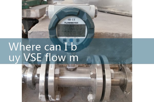 German VSE flowmeter
