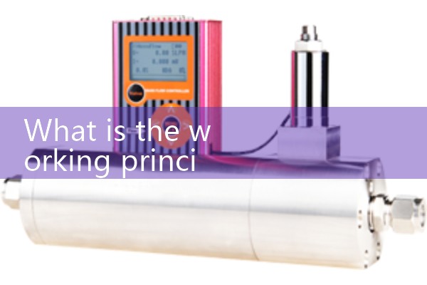 Flow meter chip