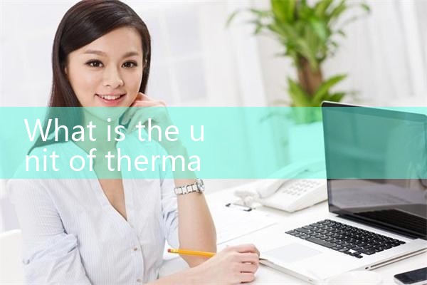 thermal mass flow meter|rotameter flow meter