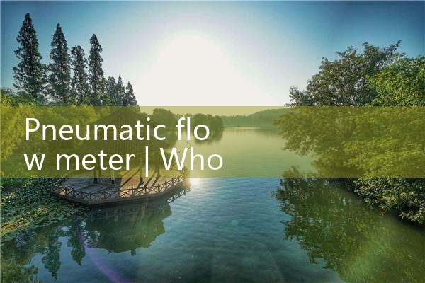 pneumatic flow meter|rotameter flow meter