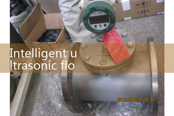 Intelligent ultrasonic flowmeter