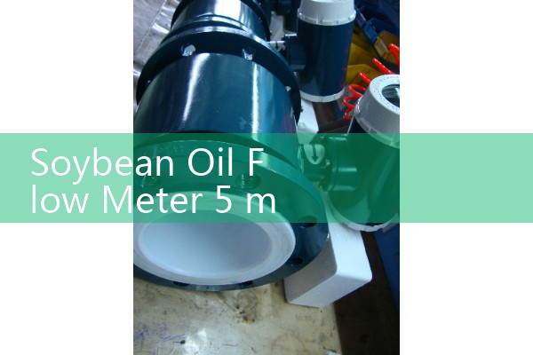 Soybean Oil Flow Meter 5 m3/h: Sizing for Continuous Biodiesel Feedstock Streams
