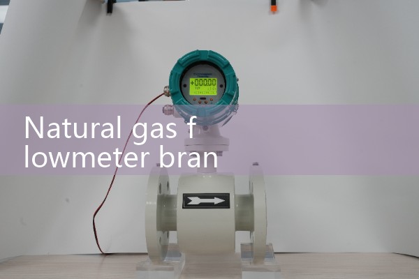 Natural gas flowmeter brand