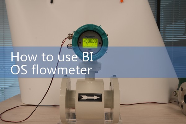BIOS flowmeter