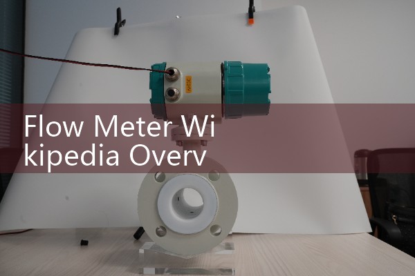 Flow Meter Wikipedia Overview: Reviewing Fluid Dynamics, Engineering Layouts, and Calibration Standards