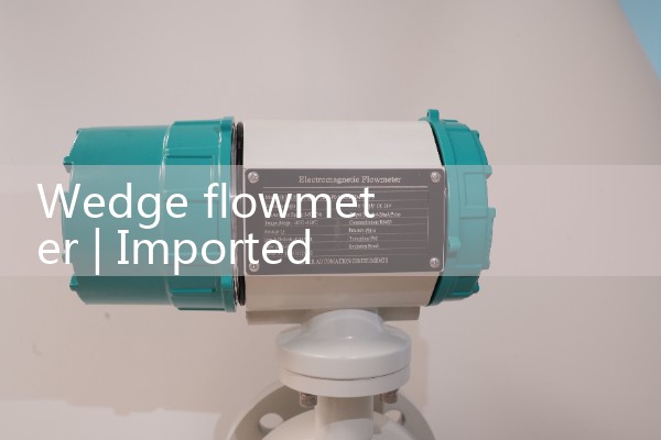 Wedge Flow meter 