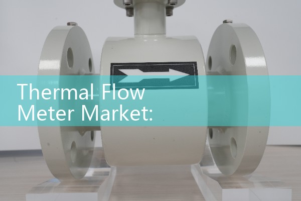 Thermal Flow Meter Market: Global Trends in Gas Mass Sourcing Growth