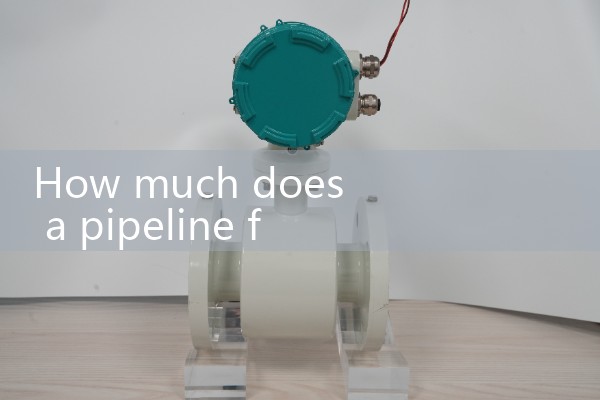How much does a pipeline flowmeter cost