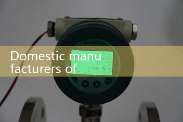 Domestic manufacturers of quality flow meters