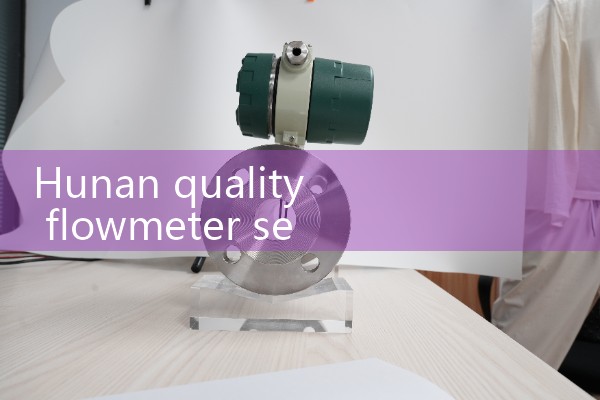 Hunan Quality Flow Meter Selection Manufacturer