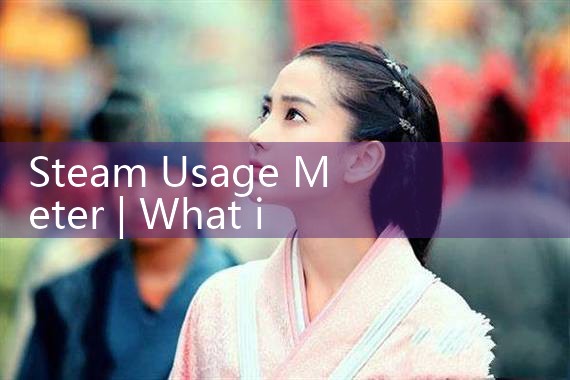 steam usage meter|balo meter