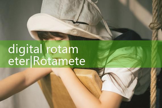 digital rotameter|mass flow meter