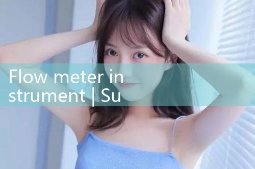 flow meter instrument|rotameter flow meter
