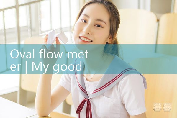 oval flow meter|rotameter flow meter