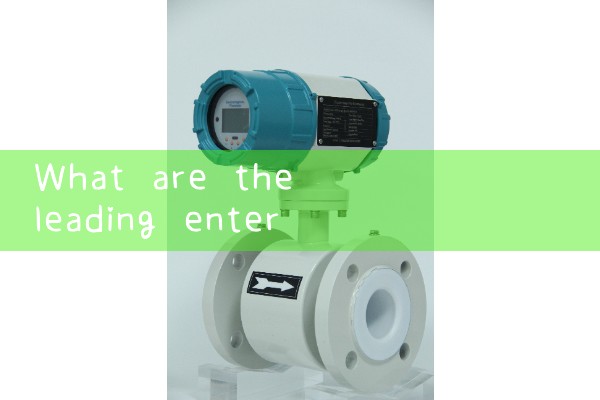 Supply from petrochemical quality flowmeter manufacturer